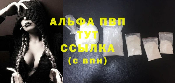 СК Арсеньев
