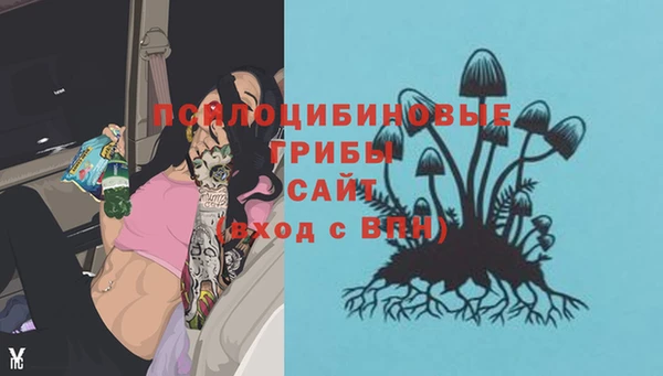 СК Арсеньев